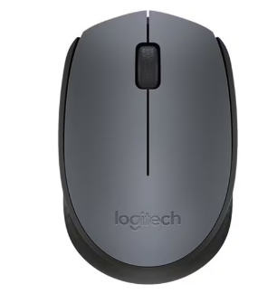 Logitech M171 Wireless Mouse - Black/Grey
